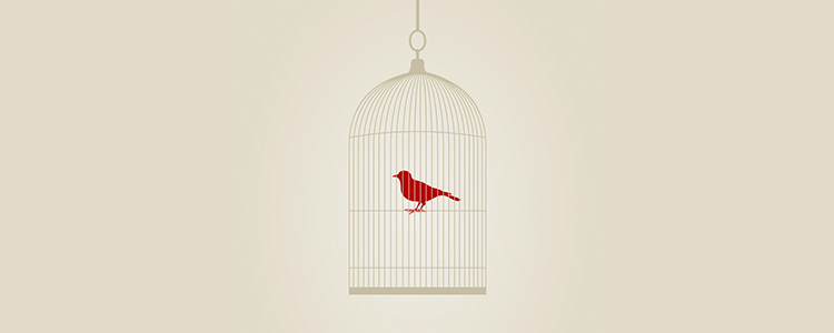 网页版手机号攻击